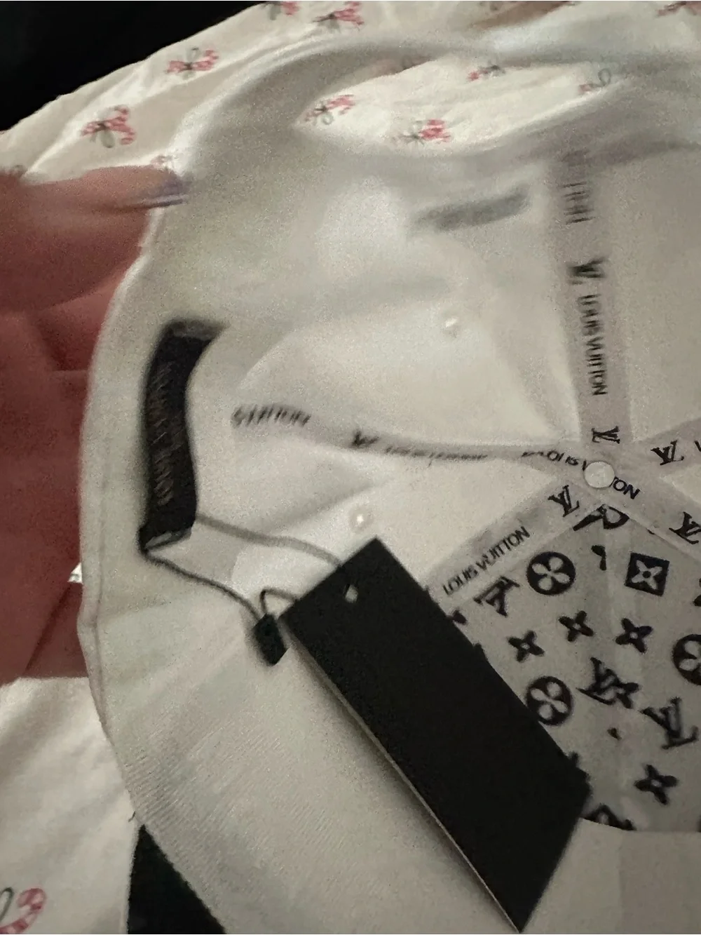 Louis Vuitton classic louis